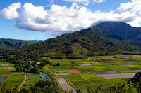 Hanalei Valley 9917