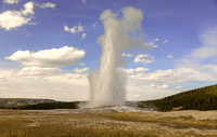 Yellowstone