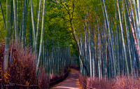 Kyoto, Japan